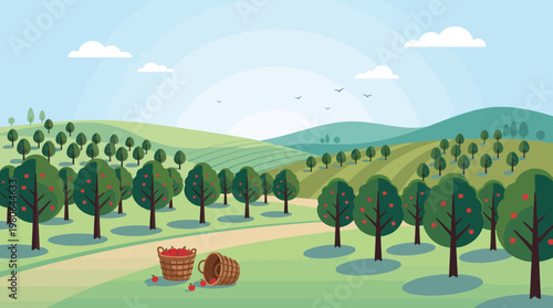 Sprawling apple orchard landscape with hills and wooden baskets scattered on ground during harvest season in rolling green valley