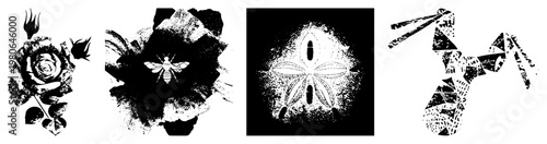 Black and white vector art featuring rose, bee, and sand dollar motifs, halftone textures, isolated graphics, stylized nature elements.