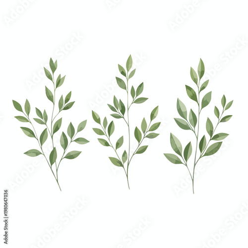 Fresh Green Sprigs of Healthy Plant Foliage for Natural Growth and Organic Gardening