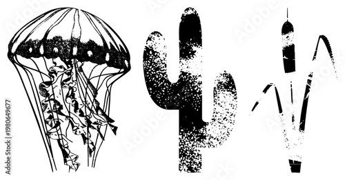 Black and white halftone illustrations of marine life, desert flora, and water reeds, isolated vector graphics for design, featuring stippled textures and clean.