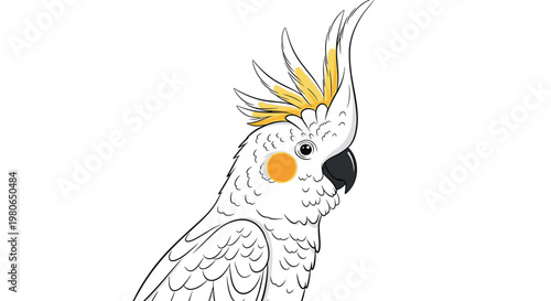Simple hand drawn illustration of a cockatiel bird head with its characteristic crest and orange cheek patch on white background.