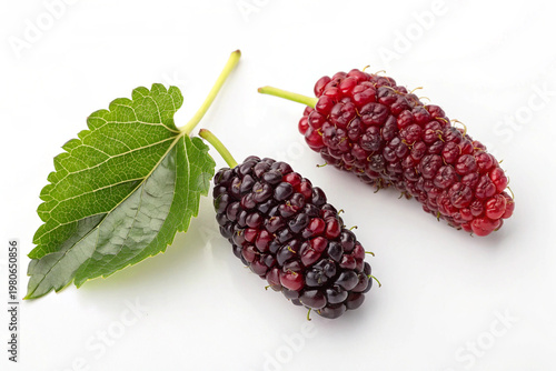 berries on white background
