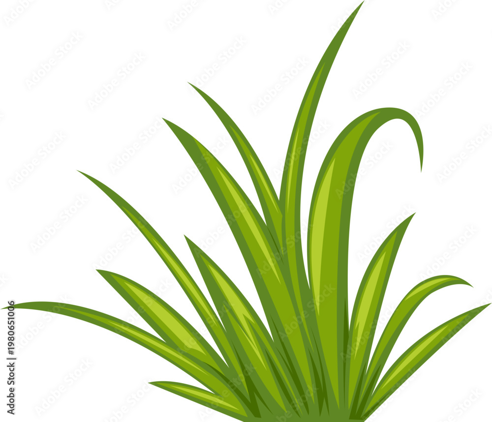 Fototapeta premium Green Grass Plant