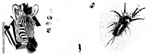 Vector illustration of zebra head with halftone textures and abstract particles, alongside a spiky microscopic organism, both in black and white, isolated graphic elements.