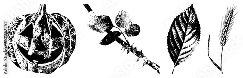 Halloween pumpkin, rose, elm leaf, wheat vector, halftone texture, flat style, botanical & seasonal motifs.