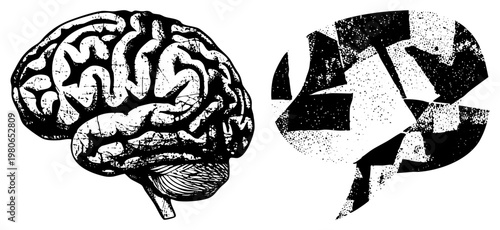 Dual brain graphic with detailed neuroanatomy on left, abstract shattered form on right, conceptual art for cognition or mental fragmentation, black and white vector design.