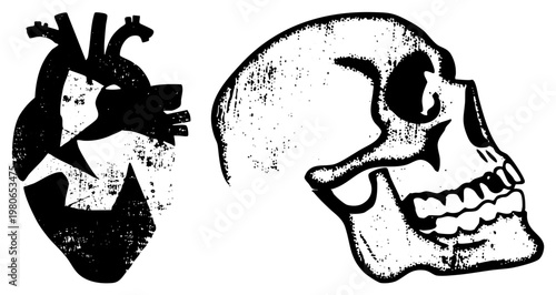 Graphic design of anatomical heart and skull, black and white, distressed texture, medical art, symbolic mortality, flat vector style, isolated elements.