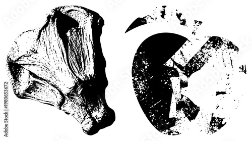 Archaeological fragments, ancient human skull profile and animal bone, black and white vector, textured etching style, research, isolated remains.