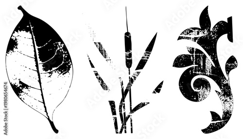 Black and white distressed botanical vectors leaf, cattail, scrollwork. Perfect for vintage design, print, or digital art. Also known as grunge flora or decayed foliage.