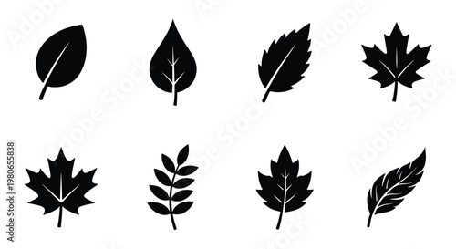 Minimalist black leaf silhouettes, set of 8 botanical vector icons. Simple foliage elements for autumn and nature branding. Flat organic leaf shapes.