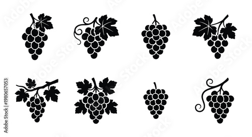 Vintage grape cluster icons set, black silhouette vineyard fruit with leaves, 8 vector elements for wine label design and organic food branding