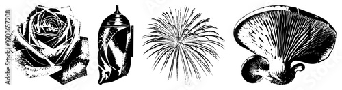 Detailed halftone style vector art featuring rose petals, twisted bottle, bursting fireworks, and gilled mushroom, all rendered in with bold and textured shading.