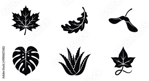 Black leaf icons set with maple, monstera, and oak foliage. Minimalist botanical vector collection of 6 plant elements. Autumn and tropical leaf silhouettes.