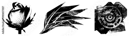 Black and white vector illustrations rose bud with textured petals, abstract feather with layered strokes, circular geometric. Flat graphic art with halftone texture and bold.