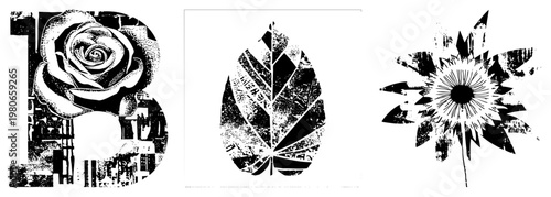 Black and white vector illustrations of rose, leaf, and sunflower using halftone and bold, graphic design elements, stencil art, typography inspired shapes.