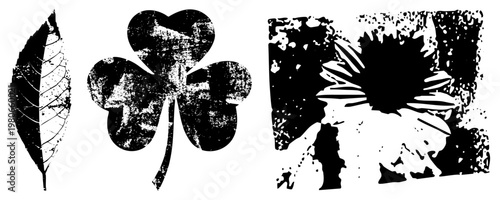 Distressed botanical shapes including leaf, clover, and sunflower, rendered in gritty, ideal for graphic design, tattoos, or print.