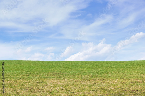 Panoramic view of green field and blue sky with soft clouds. Natural landscape background with copy space.