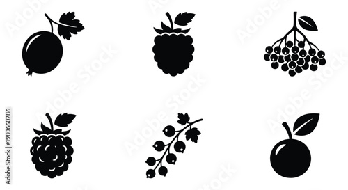 Black berry icons set, minimalist fruit silhouettes including raspberry, gooseberry and currant, 6 vector berry elements for food packaging