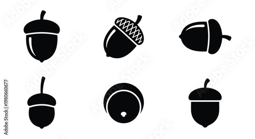 Minimalist acorn icon set, black oak nut silhouettes, collection of 6 vector elements for autumn nature branding and forest logos