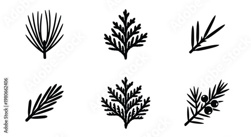 Hand drawn evergreen branch icons set, black ink conifer leaf vector illustrations, 6 botanical pine and fir sprig elements for winter design