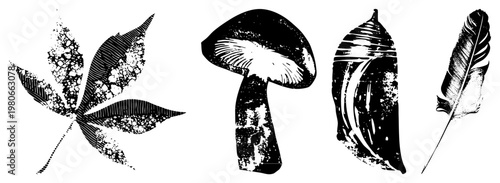 Hand carved botanical illustrations featuring maple leaf, toadstool, acorn, and feather, rendered in distressed halftone with ink texture, ideal for nature themed design.