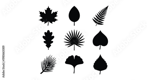 Black leaf silhouettes collection, set of 9 botanical vector icons, minimalist foliage shapes including maple oak and fern for nature branding