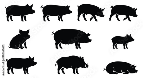 Pig silhouette collection, black farm animal vector set with 10 elements, domestic swine and wild boar icons for butchery and livestock farming