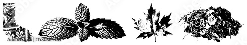 Vector botanical illustrations featuring mint, maple, and foliage clusters with halftone shading, flat black, and abstract ideal for graphic design, print, or digital art.