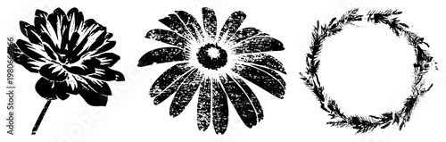 Stylized black and white illustrations with halftone texture, including dahlia, daisy, and pine wreath, ideal for print or digital design projects.