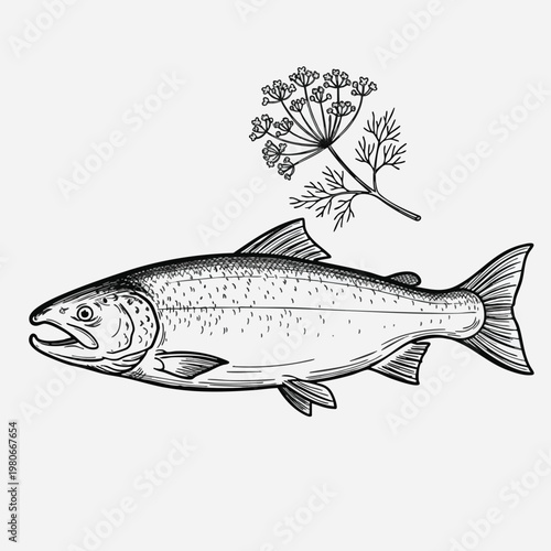 Detailed Illustration of a Freshwater Fish with Plant Life