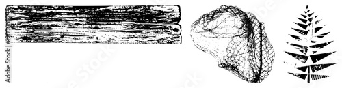 Stylized wood grain planks, abstract rock formation, layered triangular fern, vector art, rustic and geometric design elements.