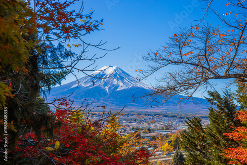 Mount Fuji with trees in the foreground in autumn in Kawaguchiko, Yamanashi, Japan.