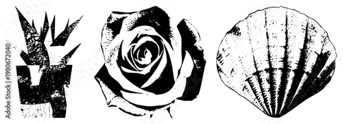 Stylized botanical and natural objects rendered in halftone, including cactus, rose,,, graphic design elements, textured vector art.