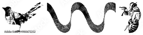 Graphic vector illustration of bird silhouette, wavy halftone, insect figure, textured, artistic, isolated elements.