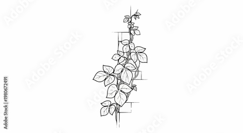 Vine with leaves climbing a brick structure