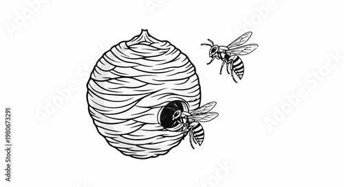 Two striped insects approach a large, papery hive with an open entrance