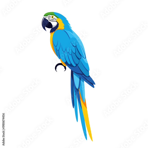 Blue macaw parrot perched in upright pose on white background