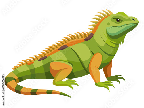 Green iguana with orange accents on white background