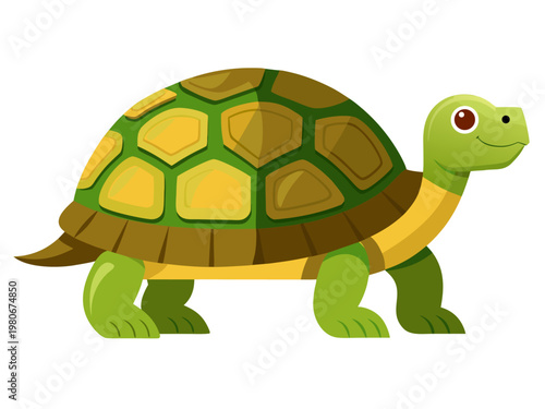 Turtle walking on white background illustration
