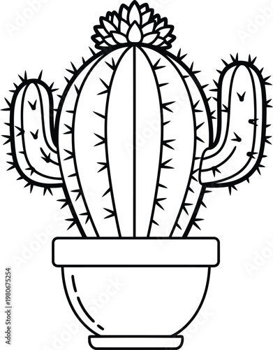 black and white cactus in pot