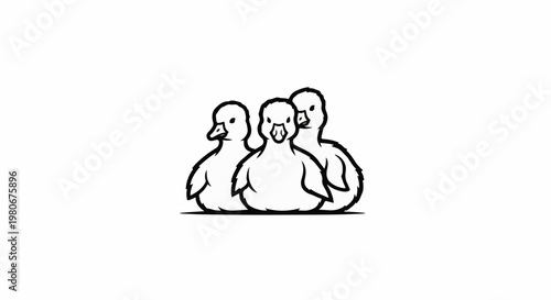 Three fluffy ducklings huddled together, drawn in a simple outline
