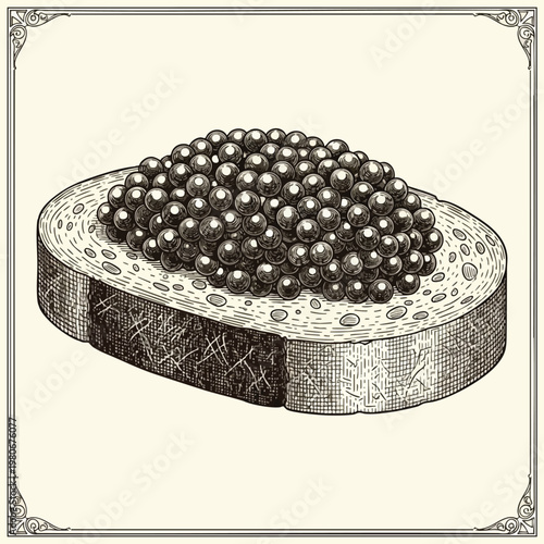 Close Up of a Bacterium with Spiky Surface and Dense Core