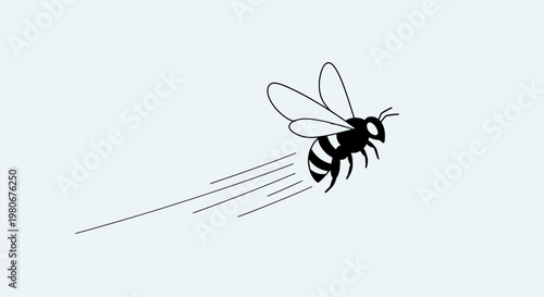 Black and white flying bee insect.