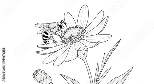 Bee on a flower collecting pollen.