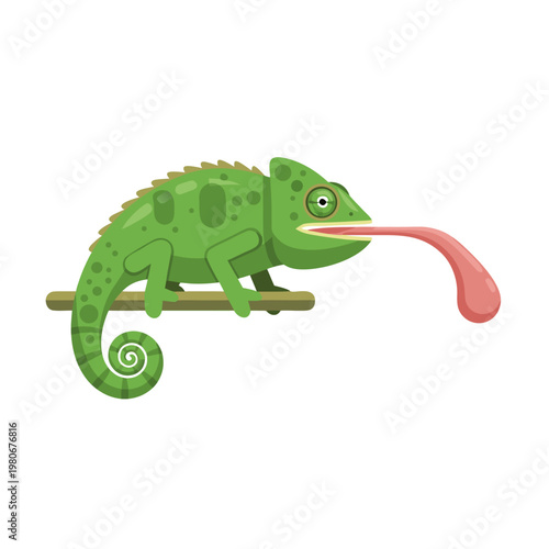 Chameleon extending long tongue while perched on branch