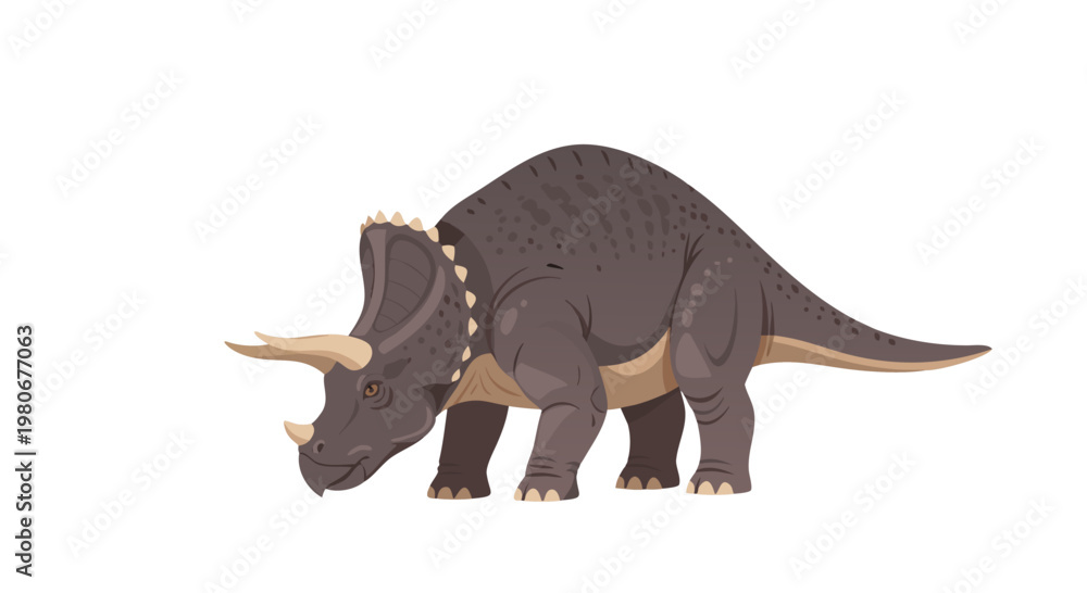 Fototapeta premium Triceratops grazing with head lowered on white background