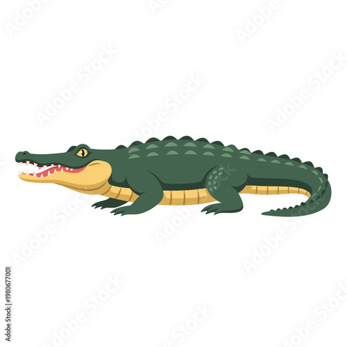 Crocodile lying on neutral white background in profile