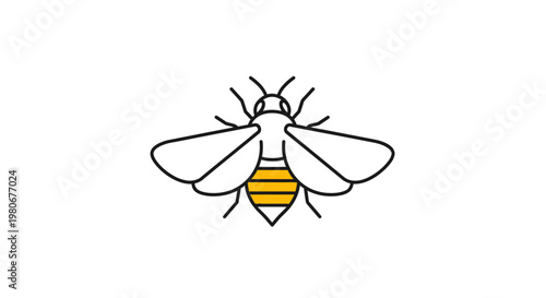 Detailed illustration of a honey bee.