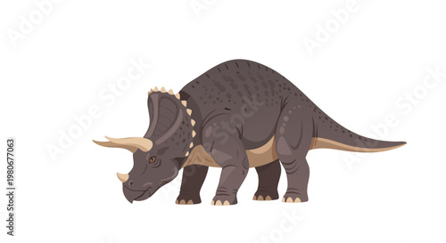 Triceratops grazing with head lowered on white background