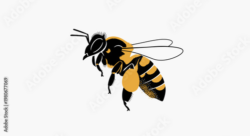 Flying Honey Bee Insect Closeup.